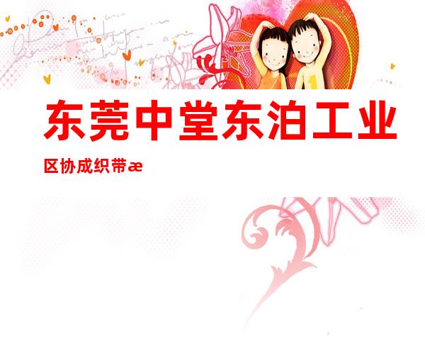 东莞中堂东泊工业区协成织带有限公司