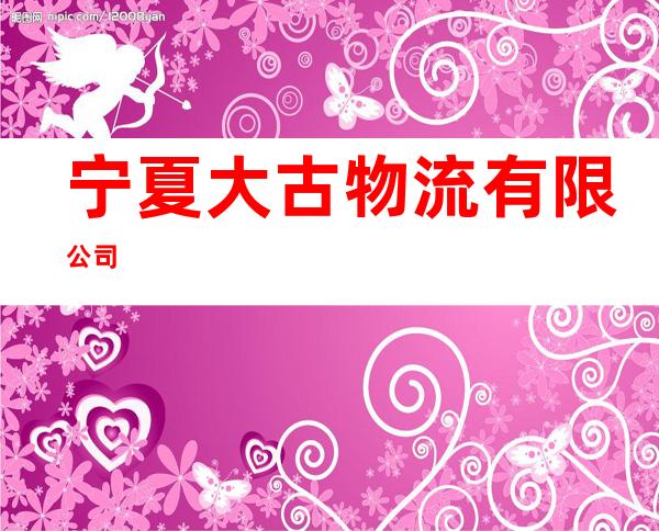 宁夏大古物流有限公司
